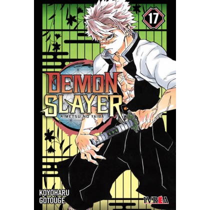 Demon Slayer Kimetsu No Yaiba 17
